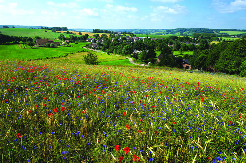 Home 7 Hotel Bergrust Brasserie 14 slider 1